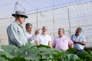 El Gobierno de Canarias apuesta por potenciar la producción local para reducir la dependencia del exterior