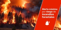 El Gobierno declara la alerta máxima por riesgo de incendios forestales en islas occidentales y Gran Canaria