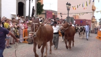 San Isidro celebra el día grande de sus fiestas en Carrizal