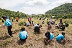 Spar Gran Canaria reforesta Osorio plantando 250 nuevos árboles