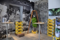Visita al municipio de Arucas y al Museo del Plátano