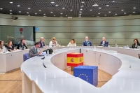 Canarias pide un trato diferenciado en el reparto de fondos relacionados con el reto demográfico