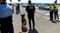 Las policías locales se forman para trabajar en coordinación con guías caninos