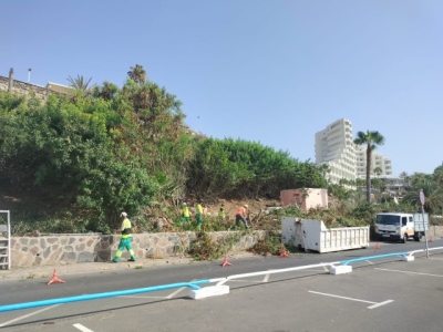 El Ayuntamiento limpia y recupera el paisaje verde del Anexo II y su ladera