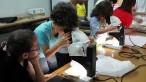 Los talleres infantiles de verano de Cueva Pintada se sumergen en la ‘marea’ del laboratorio para despertar la creatividad
