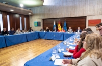Gobierno, cabildos, municipios y sindicatos crean una comisión para impulsar el proceso de estabilización
