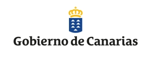 El BOC publica la proclamación de candidaturas para las elecciones al Parlamento de Canarias del próximo 28 de mayo