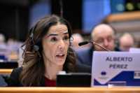 Canarias incorpora dos enmiendas a la resolución sobre política de cohesión del Comité Europeo de Regiones