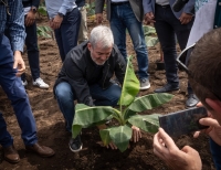 Clavijo anuncia 10 millones de euros para compensar la pérdida de renta de los agricultores palmeros
