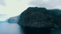 Informe Trópico explora las principales amenazas que sufre la fauna autóctona de Canarias