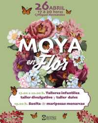 ‘Moya en Flor’ se celebra en la Villa de Moya con la suelta de un centenar de mariposas monarcas