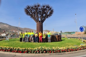 Parques y Jardines planta 4.000 flores de Pascua para embellecer el municipio por Navidad