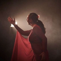 Flamenco, humor y magia protagonizan la agenda cultural del Centro Jesús Arencibia esta semana