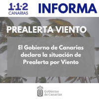 El Gobierno de Canarias declara la situación de prealerta por viento en Canarias, a excepción de Gran Canaria