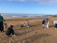 La Escuela Oficial de Idiomas de Guía realiza una limpieza en la playa de Bocabarranco