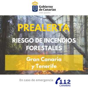 El Gobierno de Canarias declara la prealerta por incendios forestales en Gran Canaria y Tenerife