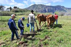 ‘Educa Rural’ cierra con éxito su cuarta edición con más de 300 escolares en Caideros