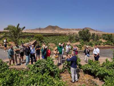 Rotundo éxito de las jornadas de puertas abiertas en las bodegas de Canary Wine: “Descorcha Canarias 2025”