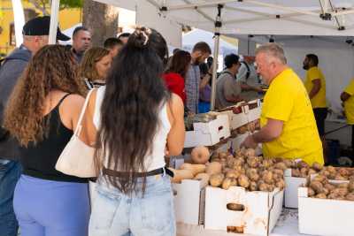 El Mercado Agrícola de Gáldar vive una jornada de récord en la Plaza de Santiago