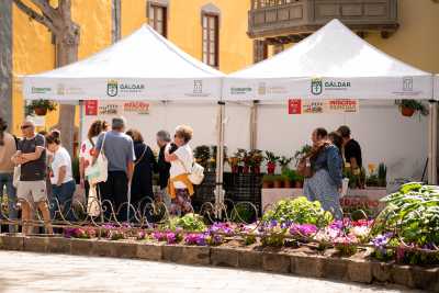 El Mercado Agrícola de Gáldar cierra la Semana Santa con una edición llena de vida y sabor primaveral
