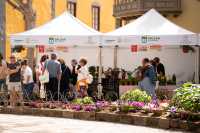 El Mercado Agrícola de Gáldar cierra la Semana Santa con una edición llena de vida y sabor primaveral