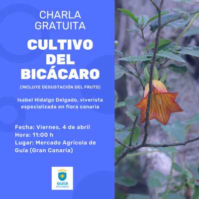 El Mercado de Guía acoge una charla sobre el cultivo del Bicácaro, planta endémica de Canarias con gran potencial como fruta de temporada