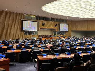 Dos representantes de la comunidad bahá’í de las islas comparten modelos de progreso social en una sesión de la Comisión de Desarrollo Social en Nueva York