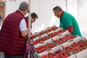 El Mercado Agrícola de Gáldar regresa este domingo en su segunda edición del año apostando por lo local