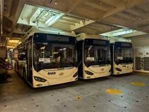 Telde impulsa la renovación histórica del transporte urbano con un estudio integral para rediseñar líneas, frecuencias y cobertura en los barrios