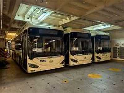 Telde impulsa la renovación histórica del transporte urbano con un estudio integral para rediseñar líneas, frecuencias y cobertura en los barrios