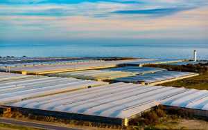 El  Norte mejorará el paisaje de invernaderos abandonados