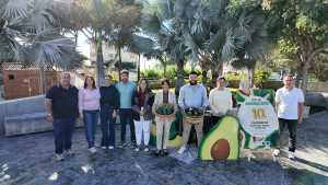 Mogán celebra el X aniversario de la Feria del Aguacate con formación, homenaje y su producto estrella