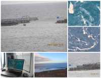 Telde cierra al baño las playas de Salinetas y Melenara tras la recomendación sanitaria por contaminación marina