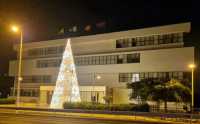 Un árbol de luces de 12 metros de altura ilumina las noches en el Ayuntamiento