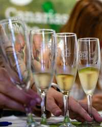 Las sidras canarias logran ocho premios en el concurso internacional SISGA 25, celebrado en Asturias
