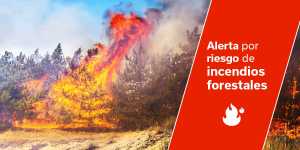 El Gobierno declara la situación de alerta por riesgo de incendios forestales en Gran Canaria