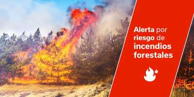 El Gobierno declara la situación de alerta por riesgo de incendios forestales en Gran Canaria