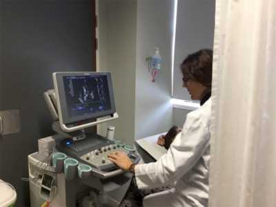 Sanidad adjudica 37 ecógrafos por más de tres millones de euros para hospitales del SCS