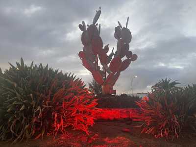 San Bartolomé de Tirajana alerta en rojo sobre la enfermedad del hierro