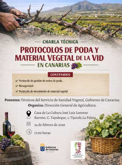 El Gobierno canario organiza charlas sobre los protocolos para evitar la propagación de la filoxera en época de poda