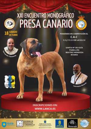 Guía acoge el XXI Encuentro Monográfico del Presa Canario y el Concurso Nacional Canino