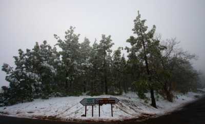 El Gobierno de Canarias finaliza la prealerta por nevadas en Tenerife, La Palma y Gran Canaria