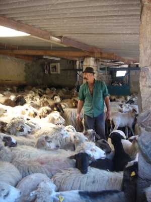 La Fiesta del Queso de Montaña Alta ofrece este domingo miles de degustaciones de sancocho canario, tortillas con miel, potaje de jaramagos y Queso de Guía