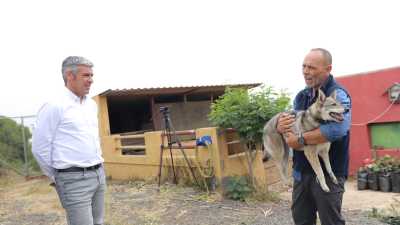 El Gobierno de Canarias y Amilobo avanzan en el reconocimiento del lobito herreño como raza autóctona