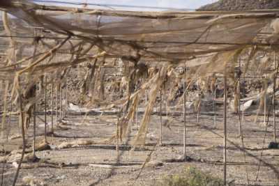 Abierta la convocatoria para presentar terrenos agrícolas para la recuperación paisajística