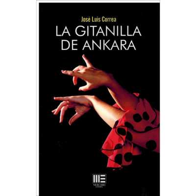 José Luis Correa presenta en la Biblioteca Insular su última novela ‘La gitanilla de Ankara’