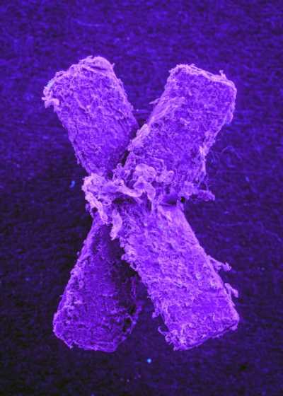 Santa Brígida acoge la muestra del artista Oliver Behrmann, ‘The North Atlantic Garbage Patch’