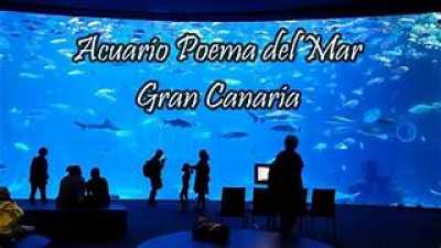 Agenda del Presidente de Canarias