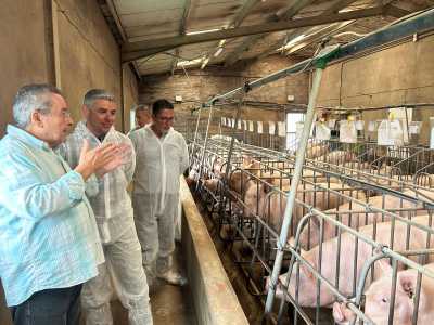 Quintero visita la única explotación de multiplicación porcina de Canarias