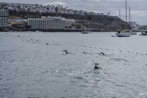 El Training Camp Classic celebra 21 años consolidando a Mogán como referente para el entrenamiento de triatlón